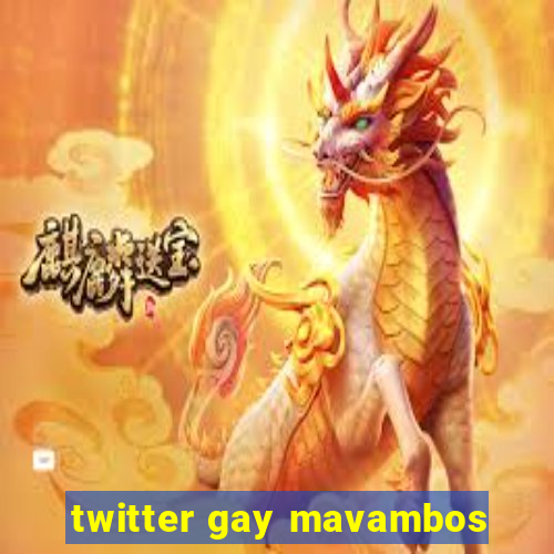 twitter gay mavambos